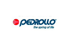 pedrollo 1601476596